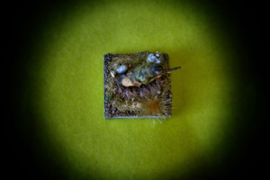 Fallschirmjäger, soldatino plastica scala 1:72 Airfix,pittura Giorgio Albertini,ambientazione giallinovagabondo