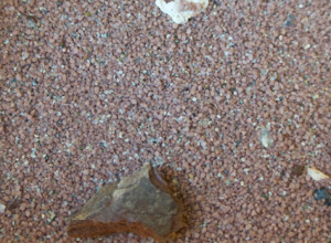 sabbia per modellismo ferroviario