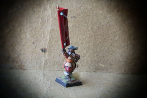 Swedish Standard Bearer Red Regiment,miniatura plastica 28mm Warlord Games,pittura giallinovagabondo